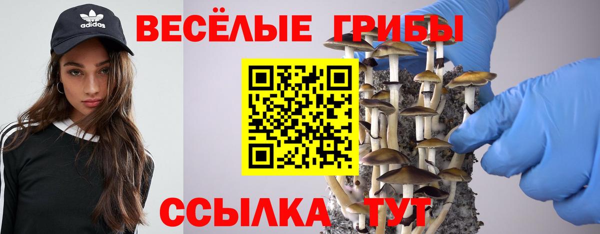 Псилоцибиновые грибы ЛСД Серов